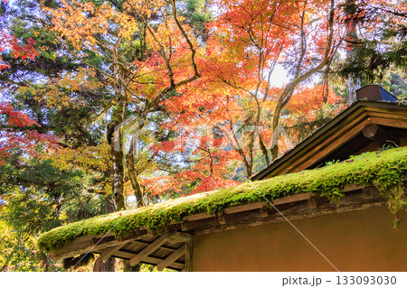 紅葉見頃な那谷寺 紅葉見頃な那谷寺 133093030