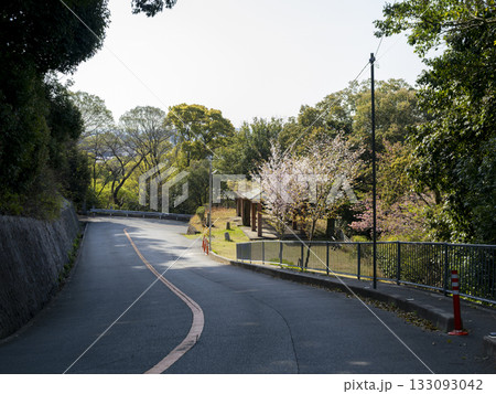 桜が咲いた春の五月山ドライブウェイ 133093042