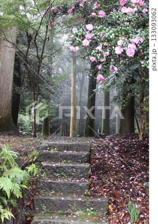 神隠しへの入り口 133093062