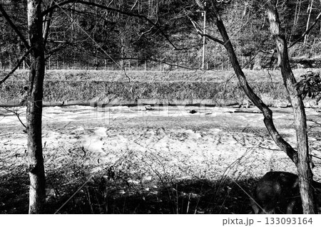 秋の北湯沢温泉「長流川」「白絹の床」白黒 133093164