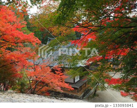 高雄神護寺の秋景 133093841