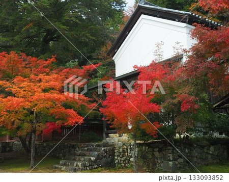 高雄神護寺の秋景 133093852