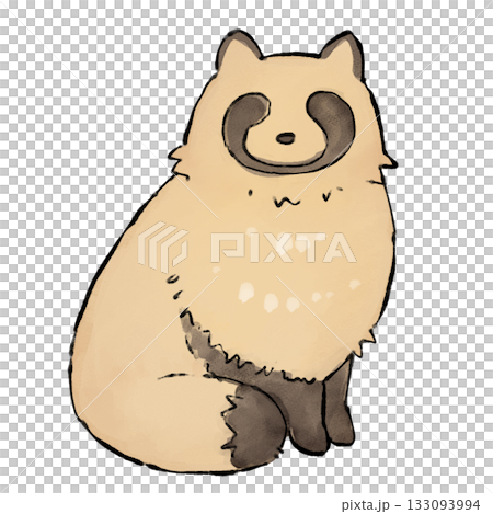 一幅淡彩水彩浣熊插圖 133093994