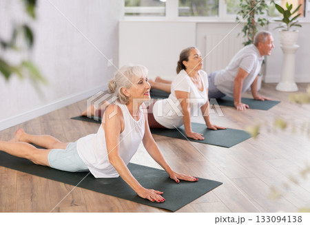 Elderly women practicing yoga in virabhadrasana pose in gym Elderly women practicing yoga in virabhadrasana pose in gym 133094138
