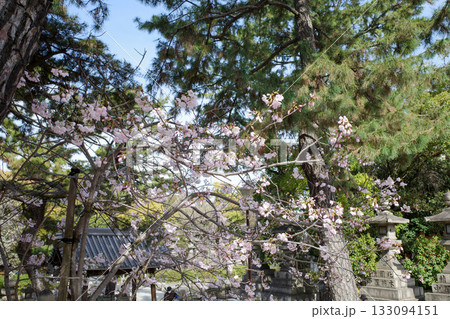 住吉大社 133094151