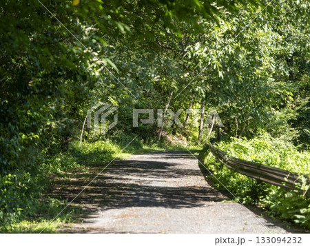 新緑の山を通る道路 新緑の山を通る道路 133094232