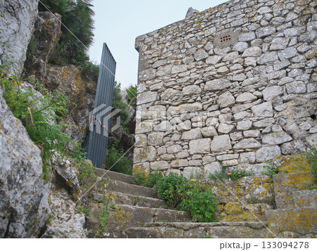 ジブラルタル　ジブラルタルロック　オハラ砲台へ続く道　4月　 133094278