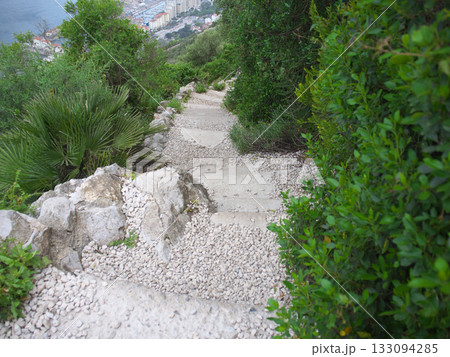 ジブラルタル　ジブラルタルロック　オハラ砲台へ続く道　4月　 133094285