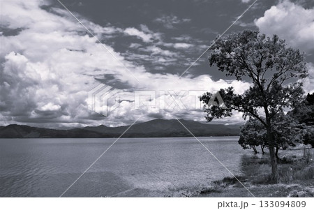 静寂の秋田県・田沢湖、樹木、夏空の絶景(モノクロ) 静寂の秋田県・田沢湖、樹木、夏空の絶景(モノクロ) 133094809