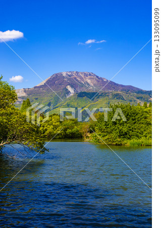 三島池と伊吹山 三島池と伊吹山 133095099
