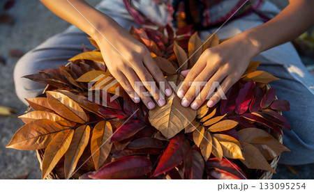 Warm Hands Arranging Autumnal Leaves: A Seasonal Still Life with Natural Beauty and Soft Light Warm Hands Arranging Autumnal Leaves: A Seasonal Still Life with Natural Beauty and Soft Light 133095254