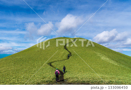 秋の三峰山ハイキング 秋の三峰山ハイキング 133096450