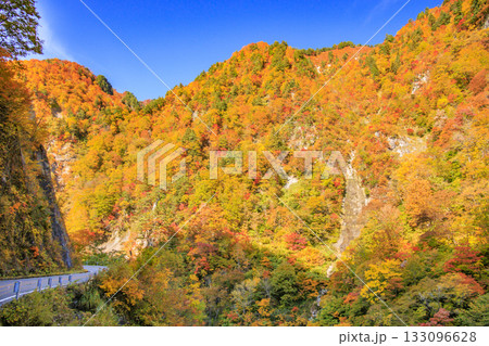 紅葉見頃な白山白川郷ホワイトロード(石川県) 紅葉見頃な白山白川郷ホワイトロード(石川県) 133096628