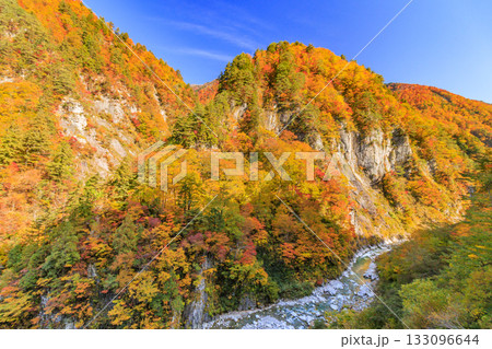 紅葉見頃な白山白川郷ホワイトロード(石川県) 紅葉見頃な白山白川郷ホワイトロード(石川県) 133096644
