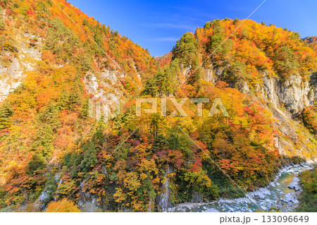 紅葉見頃な白山白川郷ホワイトロード(石川県) 紅葉見頃な白山白川郷ホワイトロード(石川県) 133096649