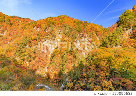 紅葉見頃な白山白川郷ホワイトロード(石川県) 紅葉見頃な白山白川郷ホワイトロード(石川県) 133096652