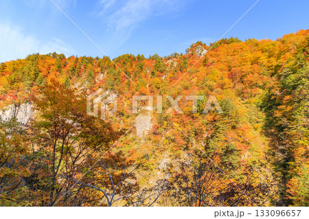 紅葉見頃な白山白川郷ホワイトロード(石川県) 紅葉見頃な白山白川郷ホワイトロード(石川県) 133096657