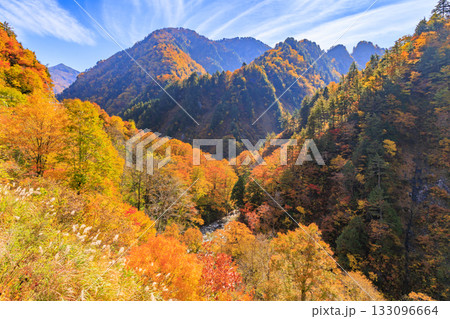 紅葉見頃な白山白川郷ホワイトロード（石川県） 133096664
