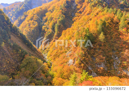 紅葉見頃な白山白川郷ホワイトロード(石川県) 紅葉見頃な白山白川郷ホワイトロード(石川県) 133096672