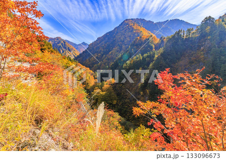 紅葉見頃な白山白川郷ホワイトロード（石川県） 133096673