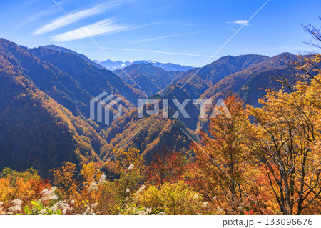 紅葉見頃な白山白川郷ホワイトロード(石川県) 紅葉見頃な白山白川郷ホワイトロード(石川県) 133096676