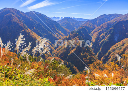 紅葉見頃な白山白川郷ホワイトロード(石川県) 紅葉見頃な白山白川郷ホワイトロード(石川県) 133096677