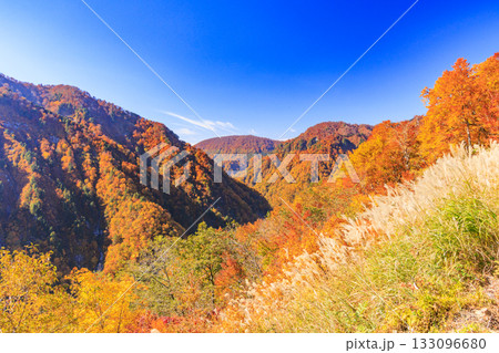 紅葉見頃な白山白川郷ホワイトロード（石川県） 133096680