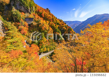 紅葉見頃な白山白川郷ホワイトロード(石川県) 紅葉見頃な白山白川郷ホワイトロード(石川県) 133096682