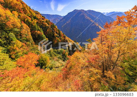 紅葉見頃な白山白川郷ホワイトロード(石川県) 紅葉見頃な白山白川郷ホワイトロード(石川県) 133096683