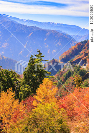 紅葉見頃な白山白川郷ホワイトロード（石川県） 133096689