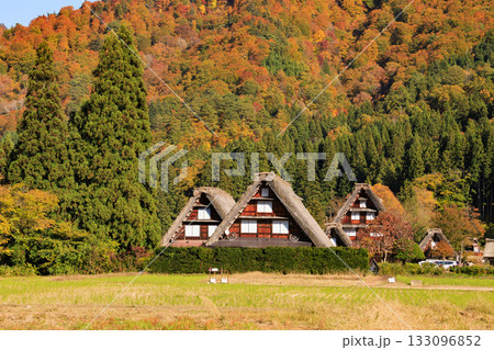 白川郷 合掌造りと紅葉 白川郷 合掌造りと紅葉 133096852