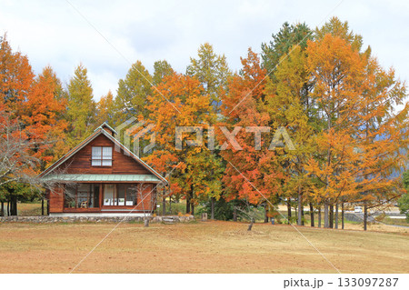 晩秋の安曇野ちひろ公園 133097287