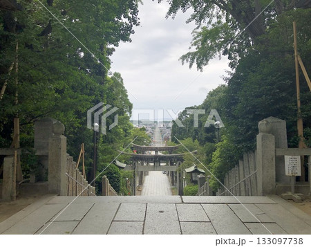福津市「宮地嶽神社」光の道 133097738