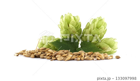Hop Cones, Leaf, and Barley Grains on White Background 133097998