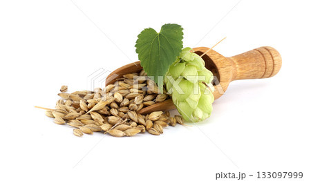 Wooden Scoop with Barley and Hops for Beer Brewing Ingredients Wooden Scoop with Barley and Hops for Beer Brewing Ingredients 133097999