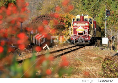 わたらせ渓谷鐵道「紅葉した山間部を行くトロッコわたらせ渓谷号」 133098421
