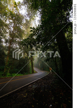 Mist teases the dense forest as a narrow winding road curves through tall trees and lush foliage, creating a serene, moody drive through nature. Mist teases the dense forest as a narrow winding road curves through tall trees and lush foliage, creating a serene, moody drive through nature. 133098691