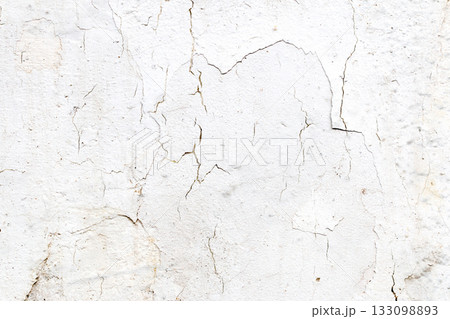 Light Gray Stucco Wall Texture. Abstract Background 133098893