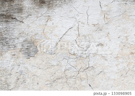 Light Gray Stucco Wall Texture. Abstract Background 133098905