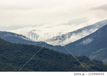 Landscape of Morning Mist with Mountain Layer. mountain ridge and clouds in rural jungle bush forest 133098926