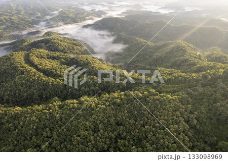 Landscape of Morning Mist with Mountain Layer. mountain ridge and clouds in rural jungle bush forest 133098969