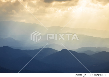 Landscape of Morning Mist with Mountain Layer. mountain ridge and clouds in rural jungle bush forest 133099007