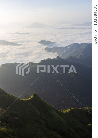 Landscape of Morning Mist with Mountain Layer. mountain ridge and clouds in rural jungle bush forest 133099031