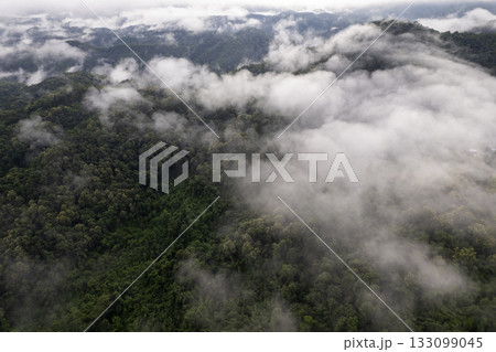 Landscape of Morning Mist with Mountain Layer. mountain ridge and clouds in rural jungle bush forest Landscape of Morning Mist with Mountain Layer. mountain ridge and clouds in rural jungle bush forest 133099045