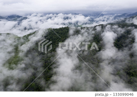 Landscape of Morning Mist with Mountain Layer at north of Thailand. mountain ridge and clouds in rural jungle bush forest Landscape of Morning Mist with Mountain Layer at north of Thailand. mountain ridge and clouds in rural jungle bush forest 133099046