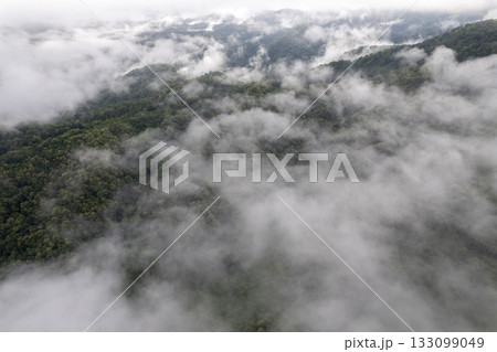 Landscape of Morning Mist with Mountain Layer. mountain ridge and clouds in rural jungle bush forest 133099049