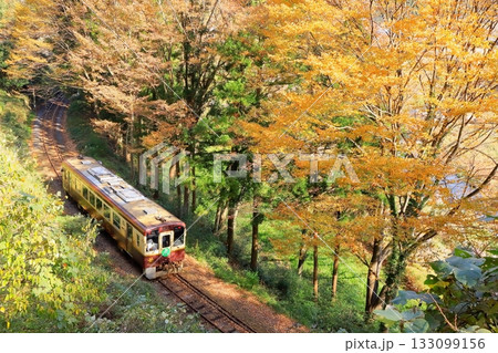 わたらせ渓谷鐵道「山間部のカーブを走る列車」黄葉した木々背景に 133099156