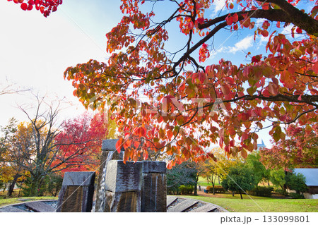 紅葉のある風景 紅葉のある風景 133099801