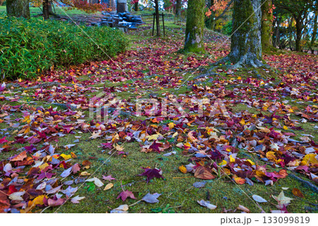 紅葉のある風景 133099819