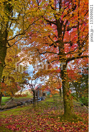 紅葉のある風景 133099821